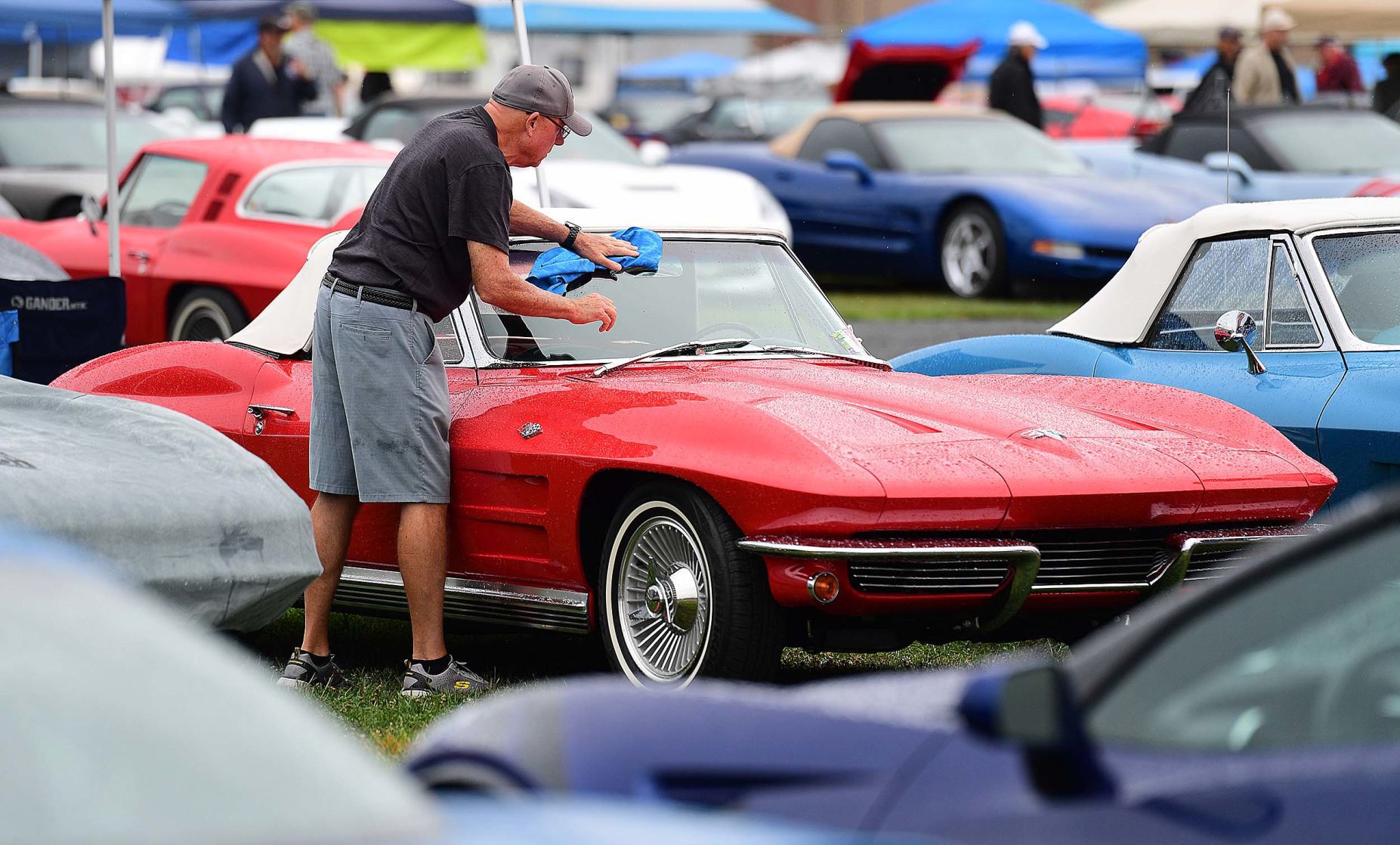 Corvettes at Carlisle 12